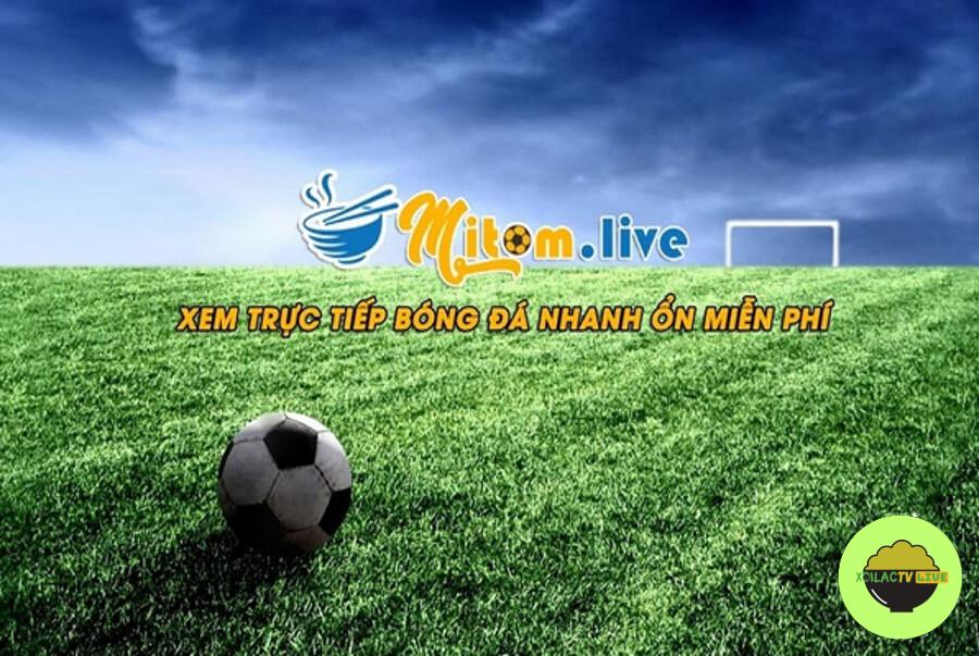 Cập nhật link xem MitomTV live mới nhất