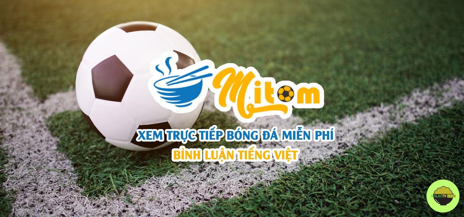 Trực tiếp bóng đá MitomTV live là gì?