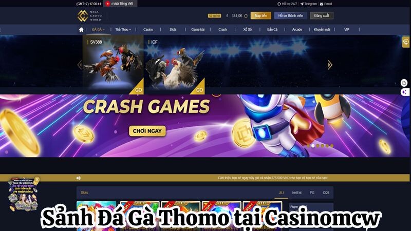 Sảnh Đá Gà Thomo tại Casinomcw