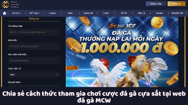 Chia sẻ cách thức tham gia chơi cược đá gà cựa sắt tại web đá gà MCW