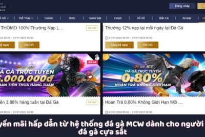 Đá Gà Cựa Sắt – Thể Loại Cá Cược Đỉnh Cao Tại Đá Gà MCW