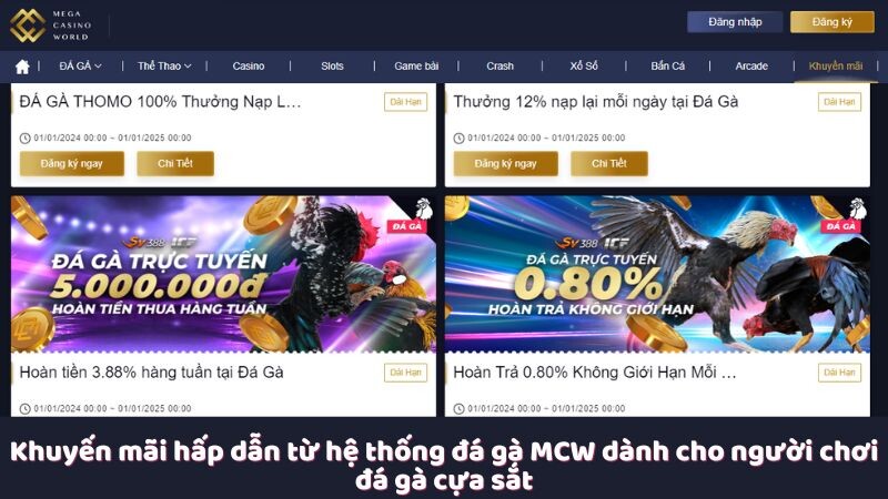 Khuyến mãi hấp dẫn từ hệ thống đá gà MCW dành cho người chơi đá gà cựa sắt