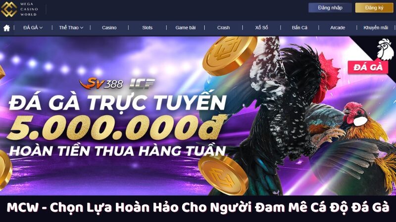 Các yếu tố giúp MCW trở thành một lựa chọn hoàn hảo cho cá cược đá gà mcw