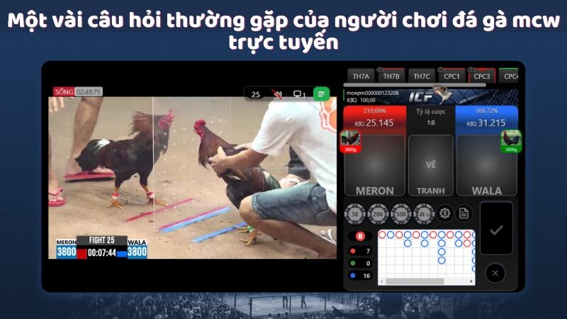 Một vài câu hỏi thường gặp của người chơi đá gà mcw trực tuyến